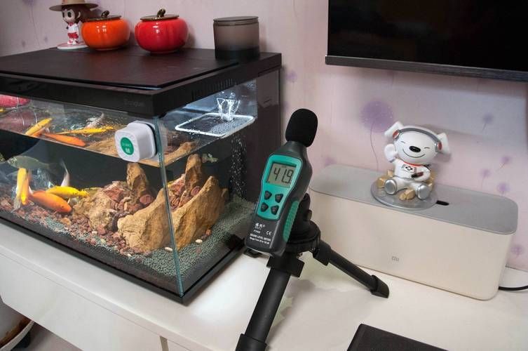 如何判斷金龍魚是否水質(zhì)中毒？（arxiv論文助手判斷金龍魚是否水質(zhì)中毒是否水質(zhì)中毒）