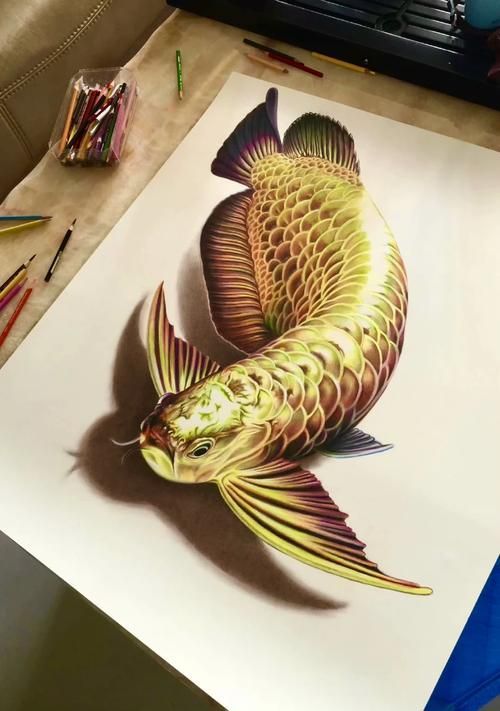 有哪些繪畫工具適合畫深海龍魚？（深海龍魚的繪畫技巧）
