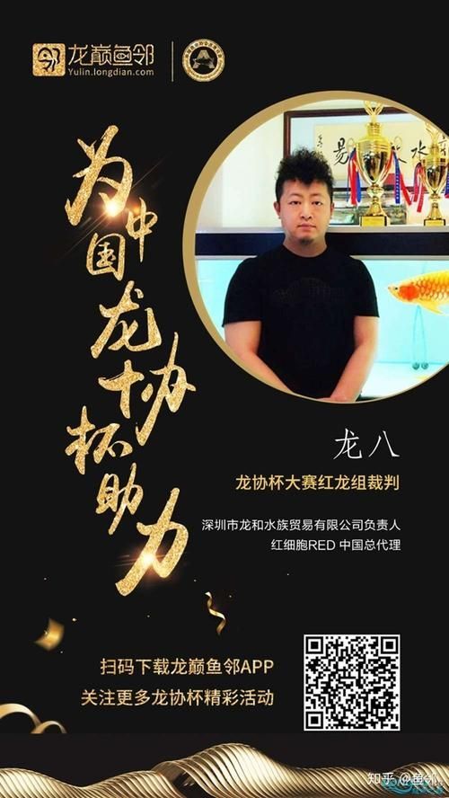 龍魚共識團隊與長城杯世界龍魚錦標賽有何關聯？（長城杯世界龍魚共識團隊）