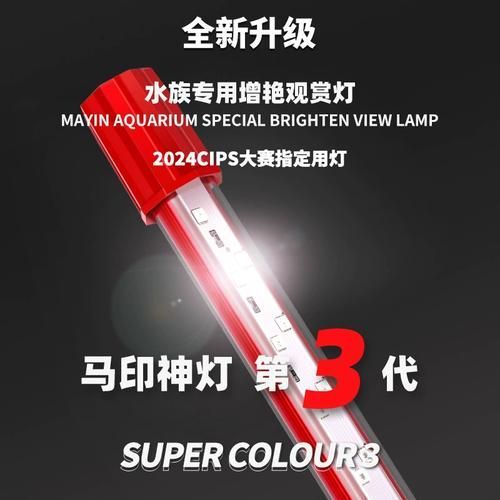 給我推薦幾款適合龍魚的小夜燈（龍魚燈哪款適合龍魚的小夜燈推薦及選購(gòu)指南及選購(gòu)指南）