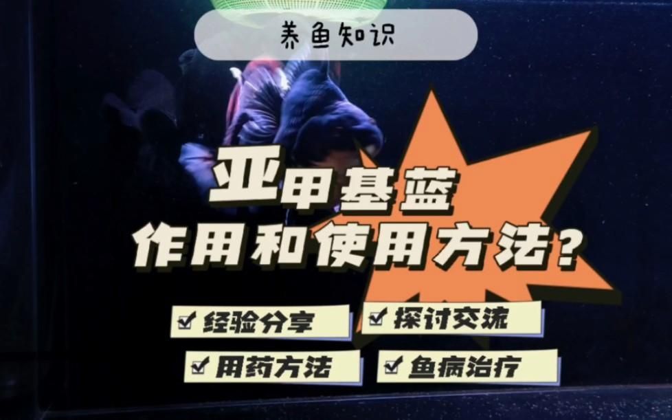 有哪些藥物可以預防龍魚疾?。浚▉喖谆{魚藥水霉病魚缸殺菌消毒白點凈治魚爛尾全民小視頻）