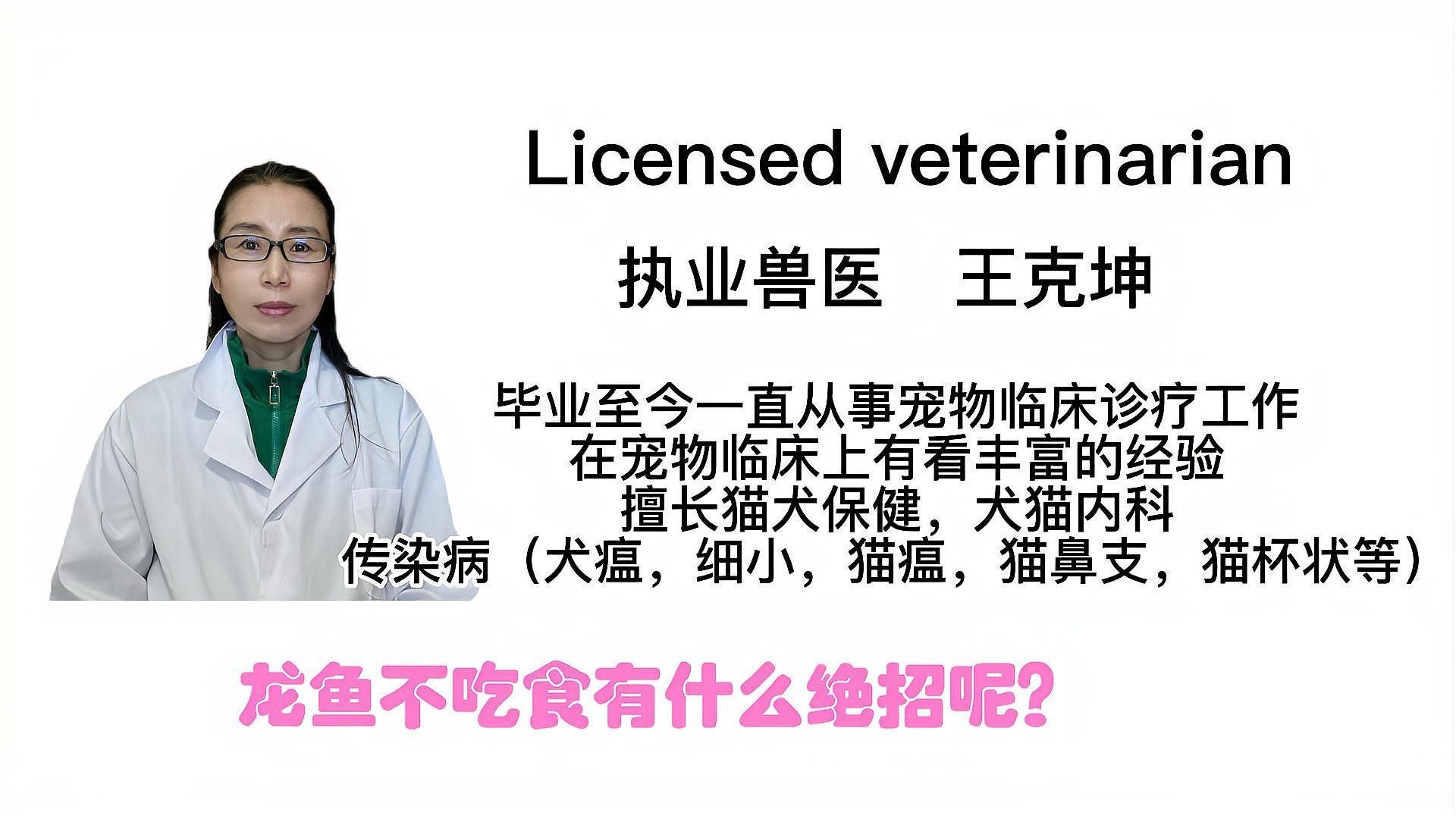 龍魚不吃食但狀態挺好，多久會恢復？（龍魚不吃食但狀態良好怎么辦）