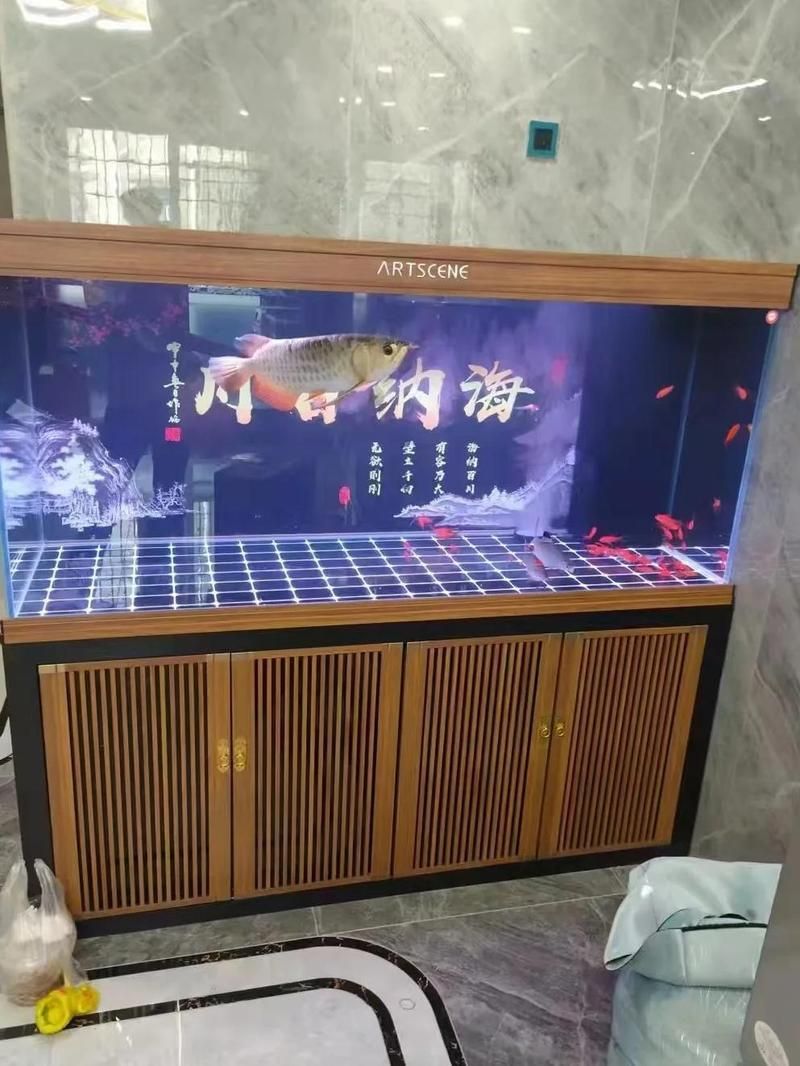 如何挑選一條健康的20厘米金龍魚(yú)？（20厘米金龍魚(yú)健康魚(yú)體圖示與挑選20厘米健康魚(yú)體圖示）