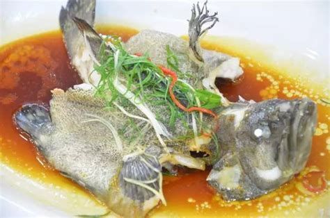 海中龍魚怎么食用效果最佳（關于海中龍魚食用的詳解）