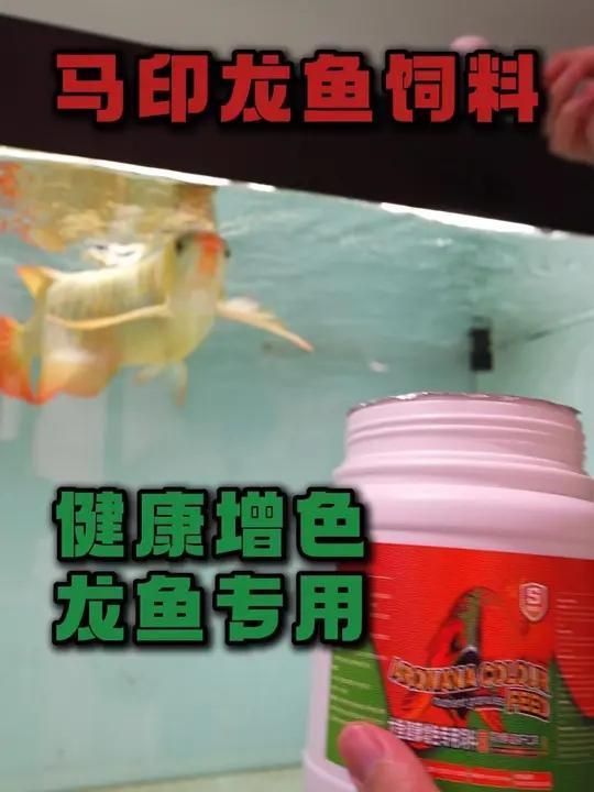 龍魚增色飼料有哪些品牌推薦？（龍魚增色飼料品牌推薦：龍魚增色飼料品牌表現尤為突出）