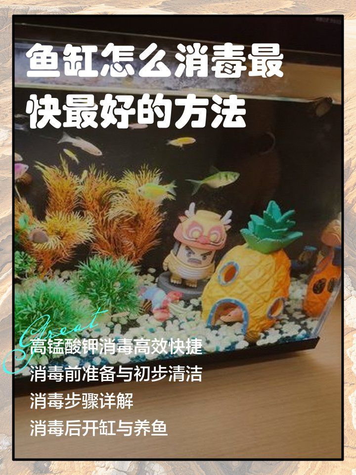 哪種消毒方法最適合龍魚？（魚缸消毒最佳方法咕嚕咕嚕喂養師：魚缸消毒最佳方法）