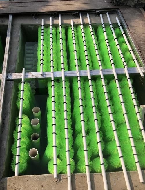 祥龍魚場(chǎng)濾材的質(zhì)量如何？（關(guān)于祥龍魚場(chǎng)濾材的一些建議）