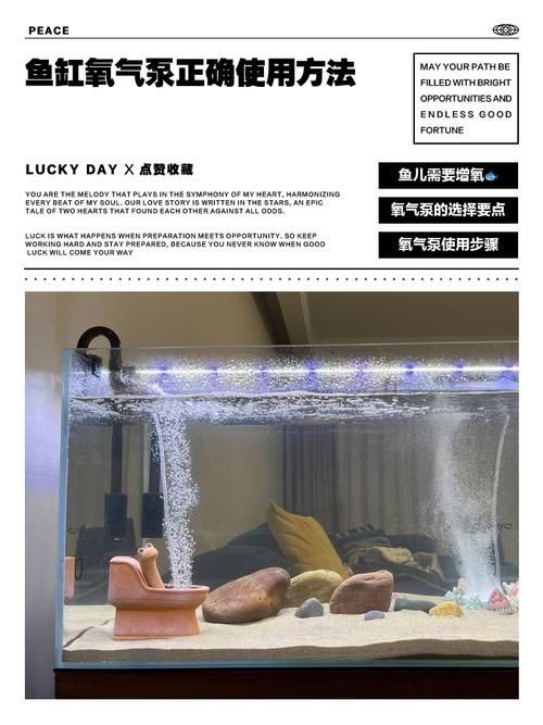 龍魚鎖框后如何緩解壓力？（arowanatankcovermodification指魚缸頂部封閉式結構封閉式結構）