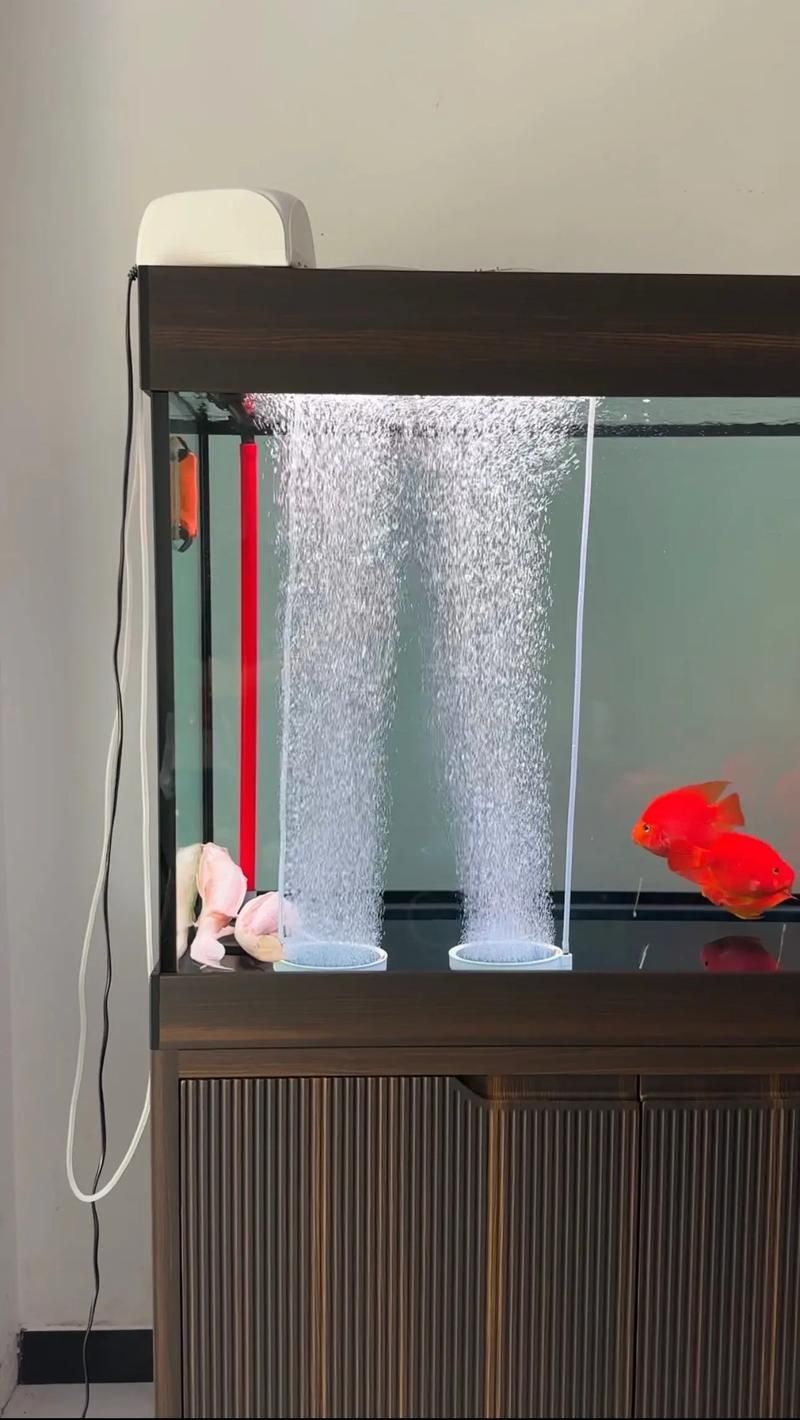 龍魚鎖框后如何緩解壓力？（arowanatankcovermodification指魚缸頂部封閉式結構封閉式結構）