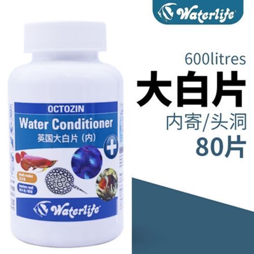 龍魚病特效藥的價格范圍（龍魚病特效藥價格范圍）