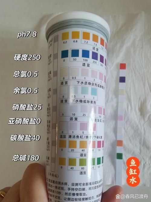 如何檢測紅龍魚缸的水質？（紅龍魚養護要點）