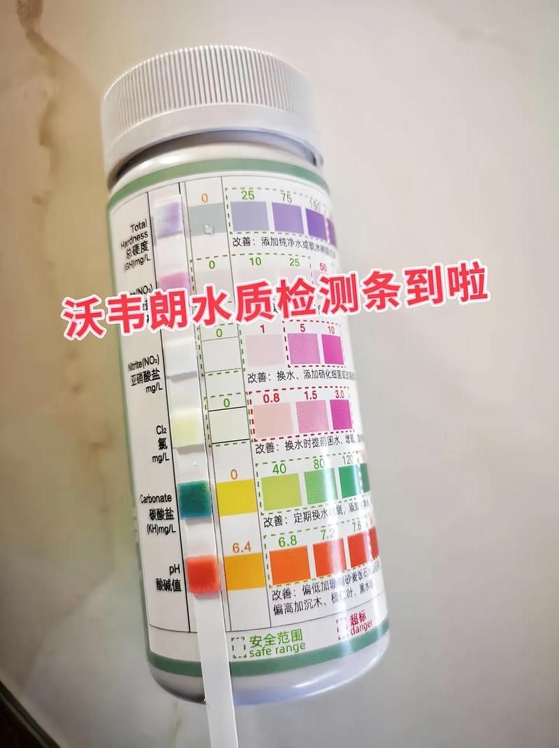 如何檢測紅龍魚缸的水質？（紅龍魚養護要點）