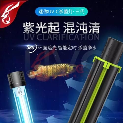 有哪些品牌的龍魚殺菌燈值得推薦？（龍魚殺菌燈哪個(gè)品牌最好）