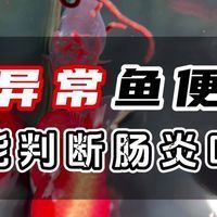 如何判斷龍魚是否患有腸胃疾病？（arxiv論文助手arxiv論文助手arxiv論文助手）