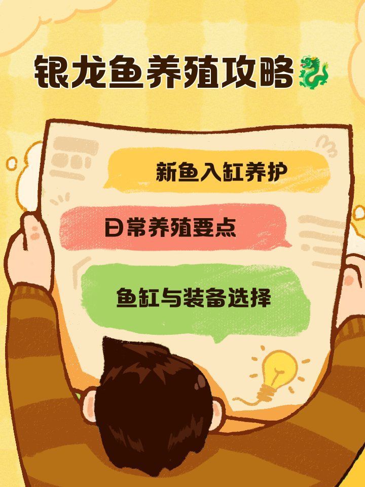 如何改善龍魚腸炎的環境？（龍魚腸炎如何治療）