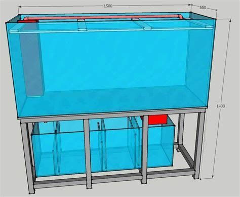 龍魚換缸時需要多大的新魚缸？（龍魚換缸指南新魚缸尺寸詳解）