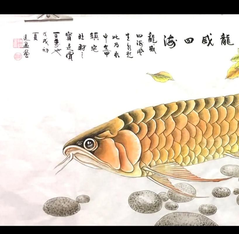 還有哪些畫家擅長(zhǎng)畫金龍魚？（金龍魚畫家代表作清單）