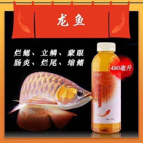 哪些藥物可以有效治療龍魚病？（治療龍魚病的藥物種類）