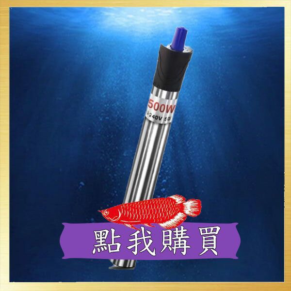 龍魚眼凸出來白色蟲子會(huì)自愈嗎？（龍魚眼部出現(xiàn)白色凸出物怎么辦）