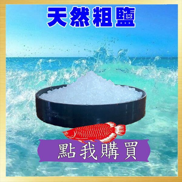 龍魚眼凸出來白色蟲子會自愈嗎？（龍魚眼部出現白色凸出物怎么辦）