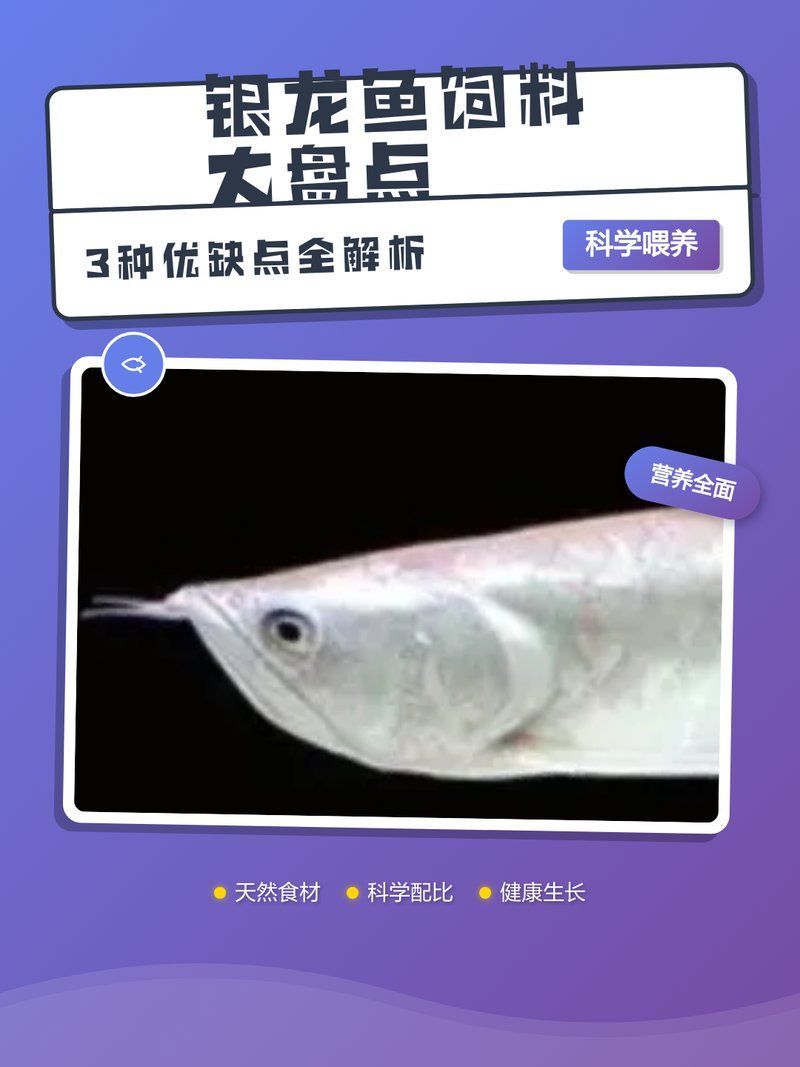 銀龍魚飼料哪個牌子好？（小魚兒天地，銀龍魚飼料大盤點|3種優缺點）