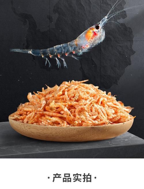 銀龍魚飼料哪個牌子好？（小魚兒天地，銀龍魚飼料大盤點|3種優缺點）