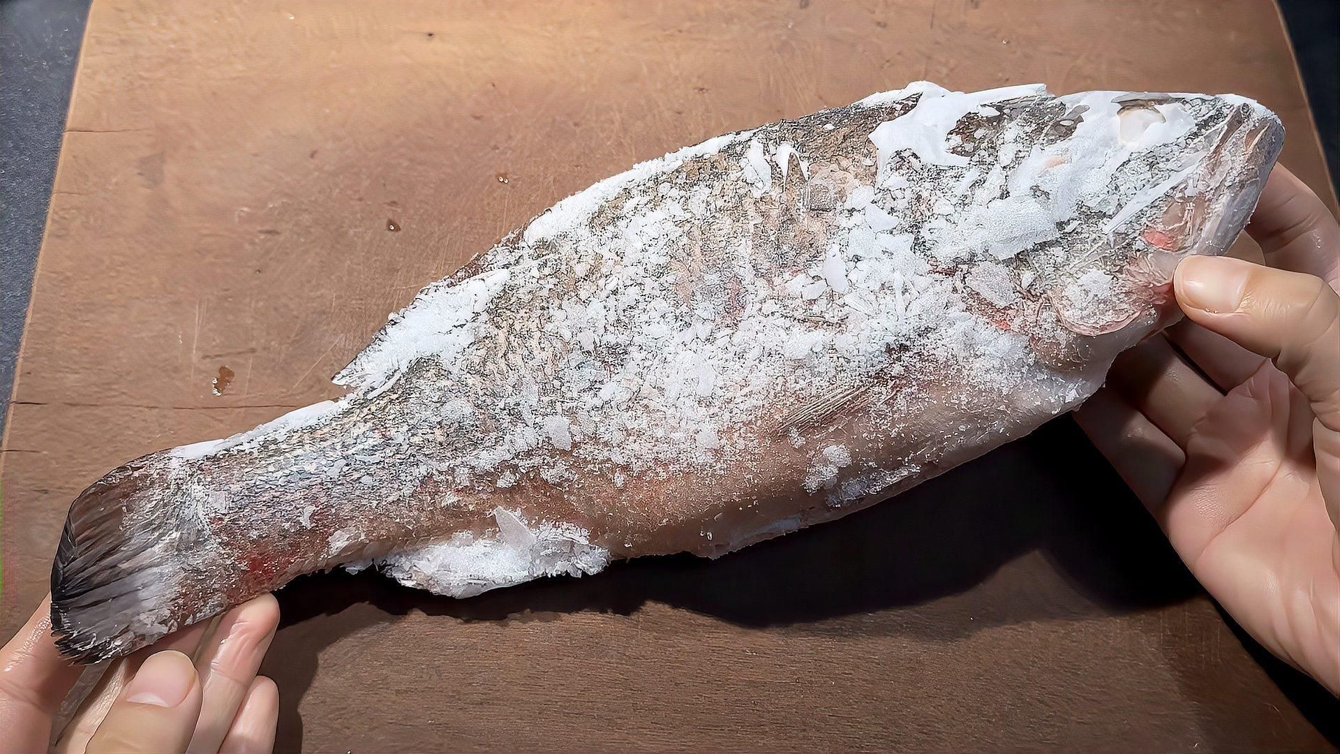 如何處理魚肉塊以適應龍魚食用？（龍魚食用龍魚食用的魚肉塊以適應龍魚食用的魚肉塊）