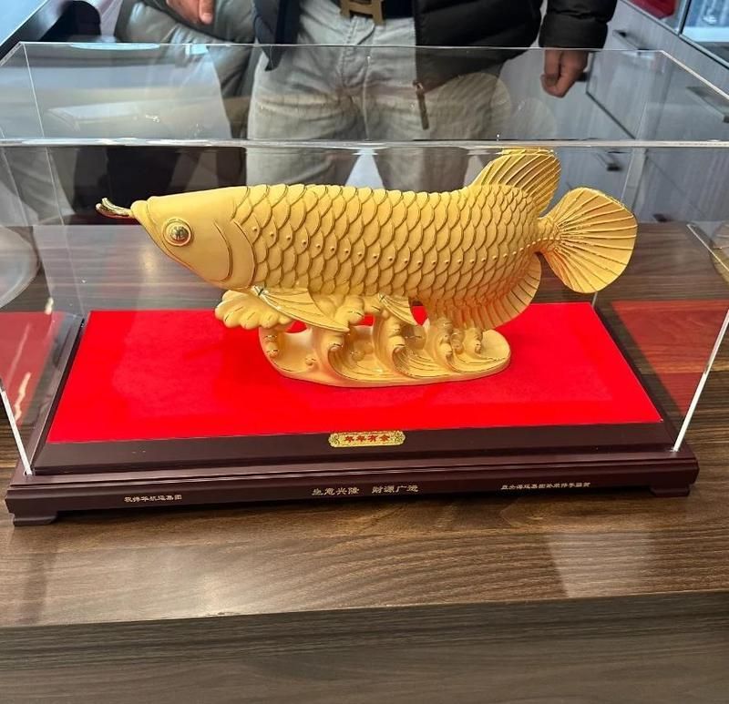絨沙金金龍魚有哪些款式？（絨沙金金龍魚擺件）