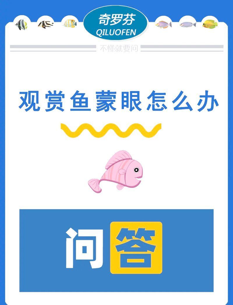 龍魚眼睛白色米粒需要立即治療嗎？（龍魚眼睛出現白色米粒是怎么回事？） 龍魚眼睛白色米粒需要立即治療嗎？（龍魚眼睛出現白色米粒是怎么回事？） 龍魚百科 第2張