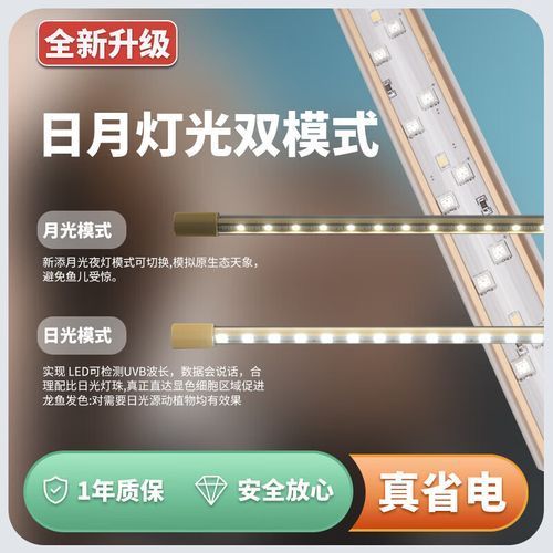 有哪些適合龍魚(yú)的夜燈品牌？（適合龍魚(yú)的夜燈品牌）