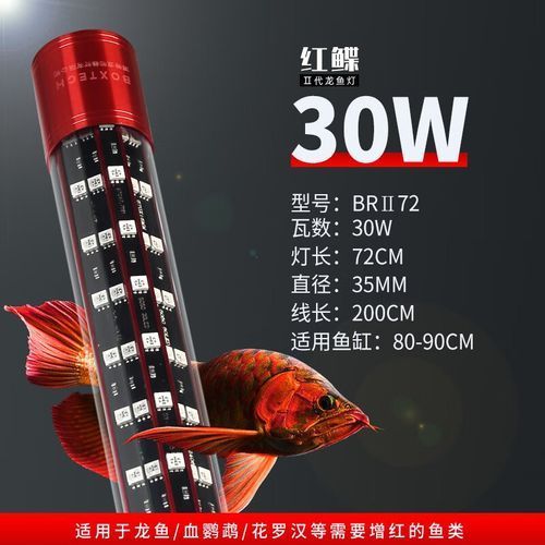 有哪些適合龍魚(yú)的夜燈品牌？（適合龍魚(yú)的夜燈品牌）