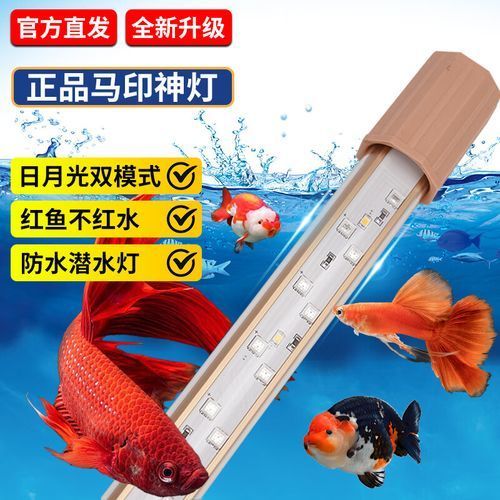有哪些適合龍魚(yú)的夜燈品牌？（適合龍魚(yú)的夜燈品牌）