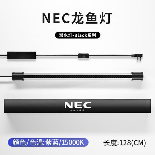 有哪些適合龍魚(yú)的夜燈品牌？（適合龍魚(yú)的夜燈品牌）