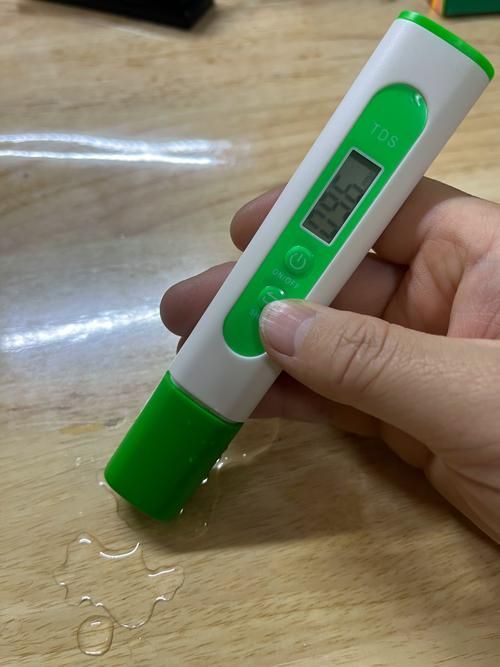 如何預防紅龍魚鱗片再次爛掉？（紅龍魚鱗片爛病復發預防）
