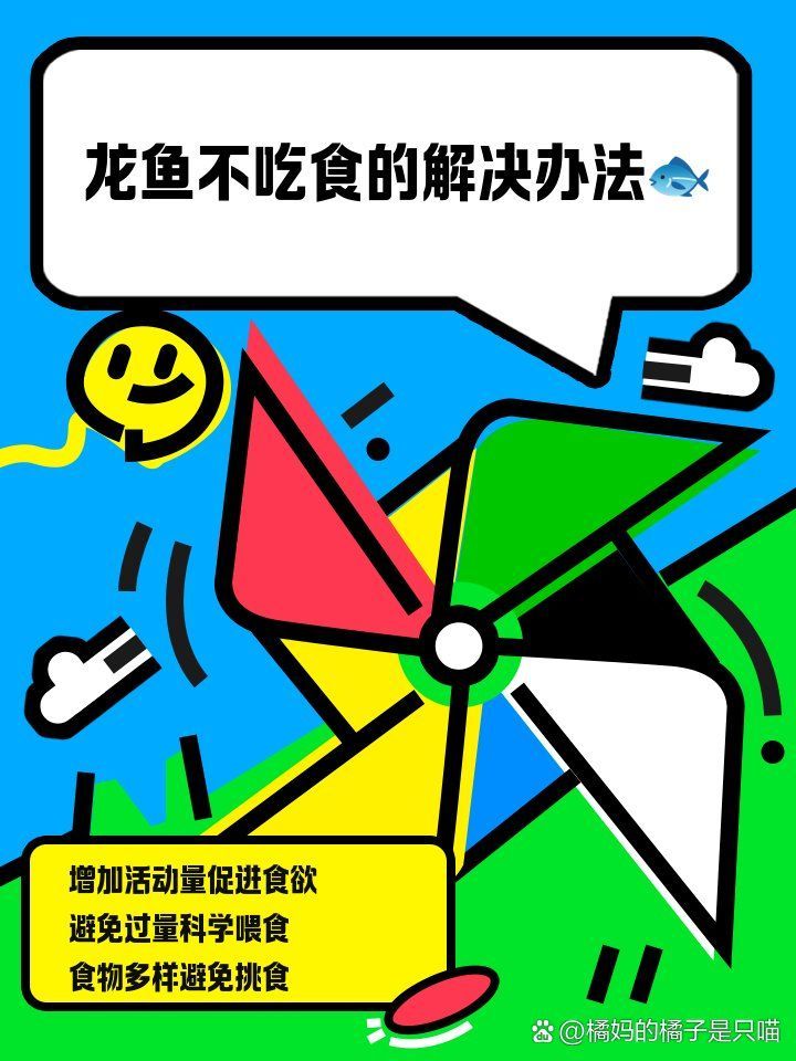 如何改善龍魚的喂食習慣？（龍魚喂食習慣改善龍魚的喂食習慣改善龍魚的喂食習慣）