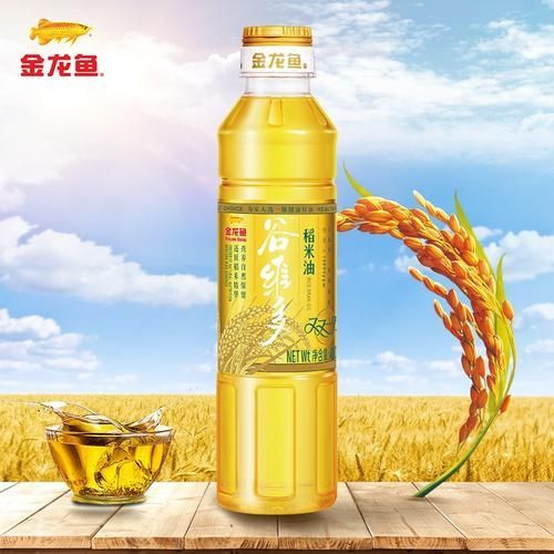 哪里可以買到正品金龍魚稻米油？（正品金龍魚稻米油購買清單）