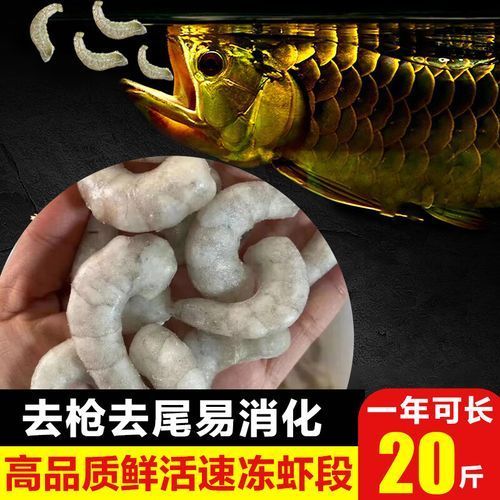 有哪些食物可以替代活魚喂龍魚？