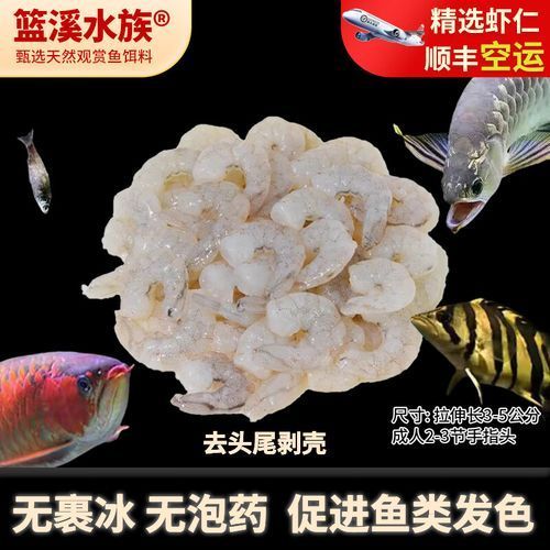 有哪些食物可以替代活魚喂龍魚？