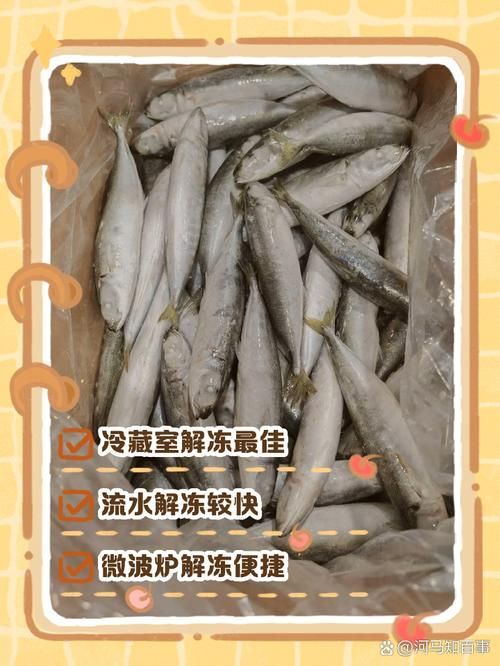 冷水龍魚冷凍保存能保存多久？（冷水龍魚冷凍保存時間）