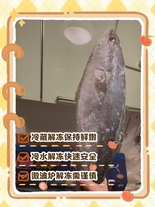 冷水龍魚冷凍保存能保存多久？（冷水龍魚冷凍保存時間）