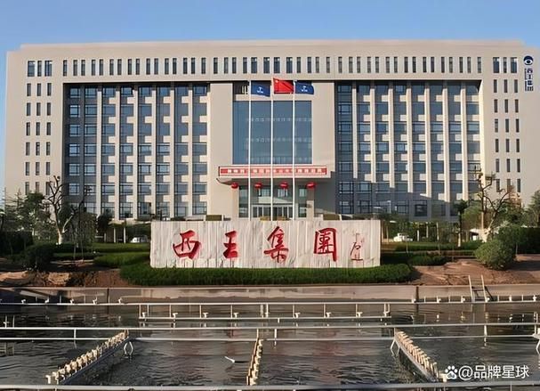 金龍魚和西王哪個品牌歷史更悠久？（金龍魚和西王哪個品牌歷史更悠久，金龍魚和西王哪個更受歡迎）