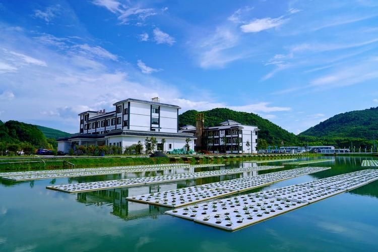 忻城縣龍魚養殖業的發展情況（廣西忻城縣龍魚養殖業）