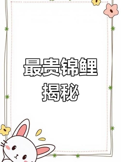還有哪些魚的價格能趕超紅龍魚？（觀賞魚界的“奢侈品”大盤點）