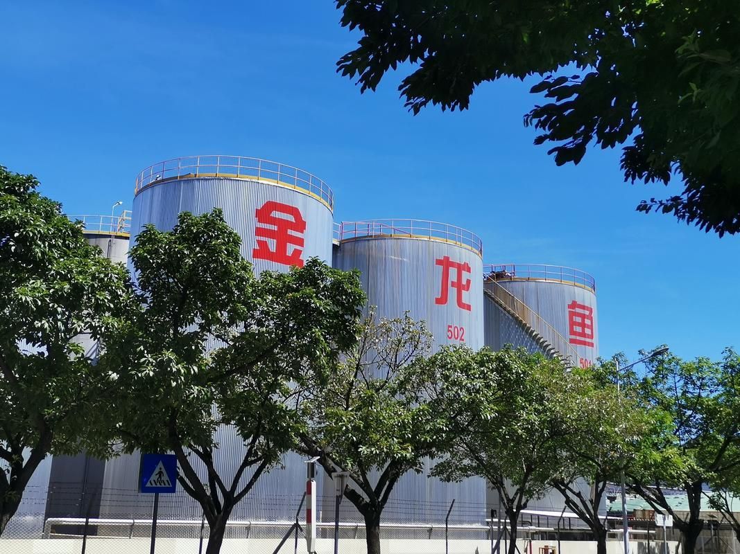 金龍魚股票的未來走勢如何預測？（金龍魚股票的未來走勢預測集中在35-40億元）