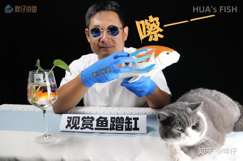 如何判斷龍魚蹭缸是否由寄生蟲引起？