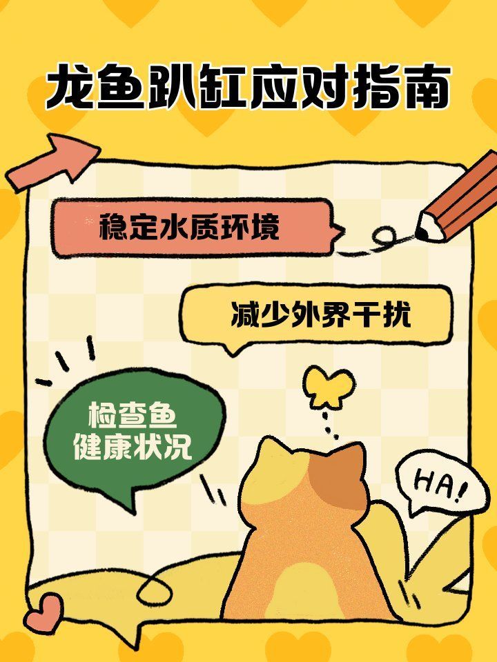 有哪些方法可以安撫龍魚？（安撫龍魚的核心方法）