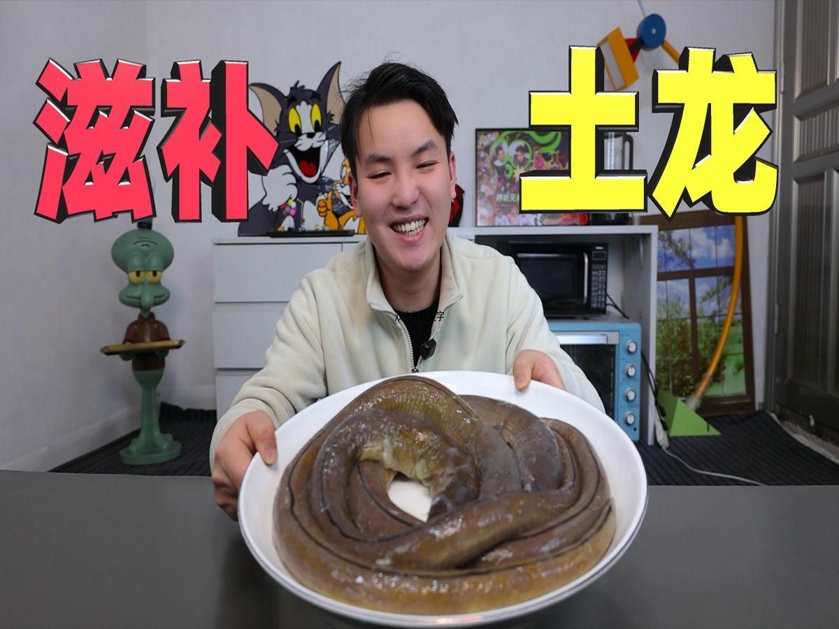 土龍魚有哪些功效？（土龍魚的功效與作用）