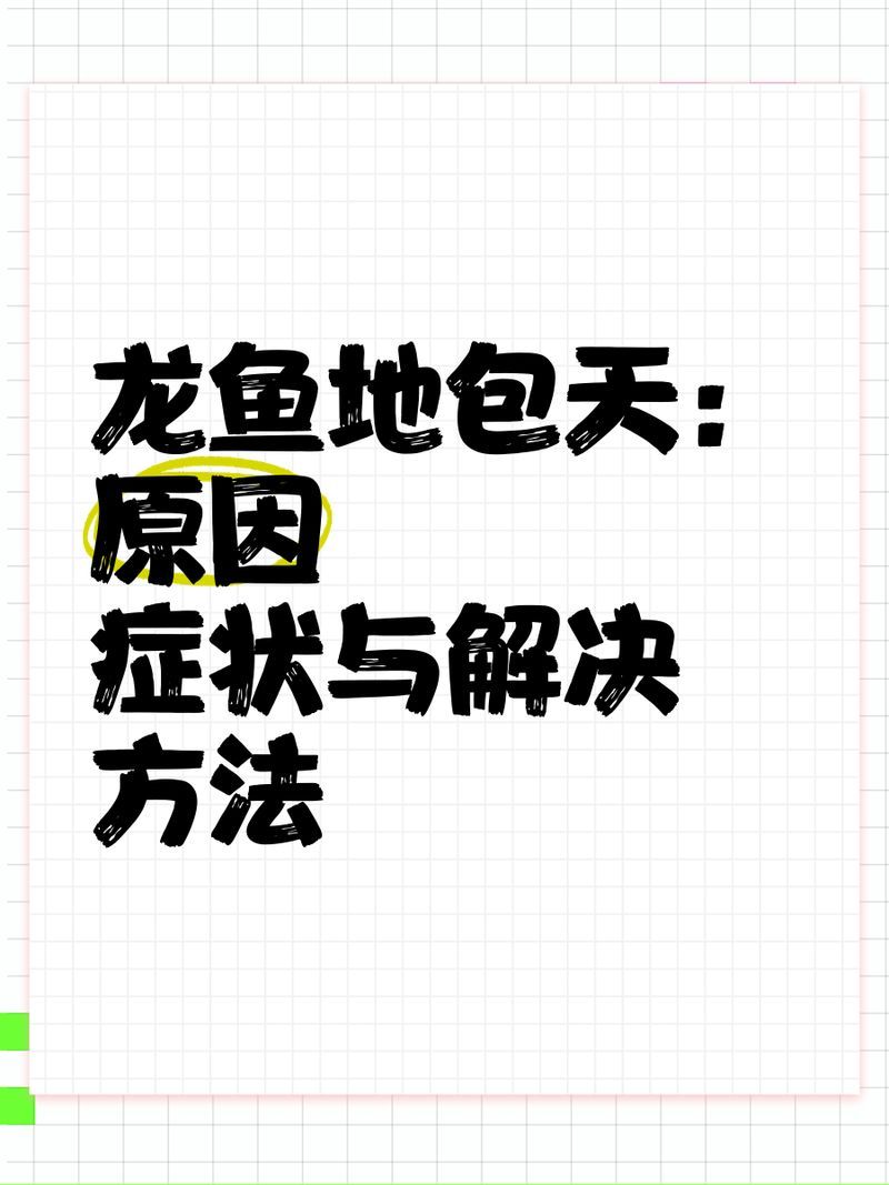 哪種方法矯正龍魚口合不攏最有效？（arxiv論文助手（arxiv論文助手）哪種方法矯正最有效）