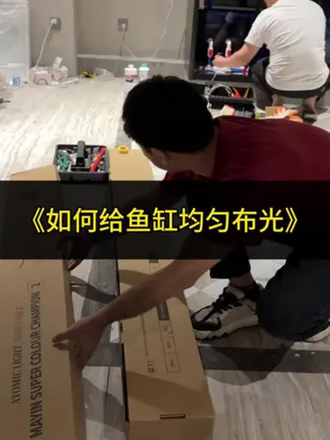 有哪些視頻教程講解龍魚燈光設置？（龍魚燈光設置）