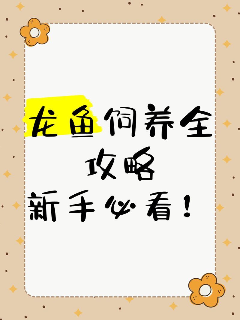 如何判斷自己是否適合養(yǎng)龍魚？（養(yǎng)龍魚的注意事項(xiàng)）